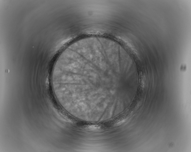 X0000091550692200709141516