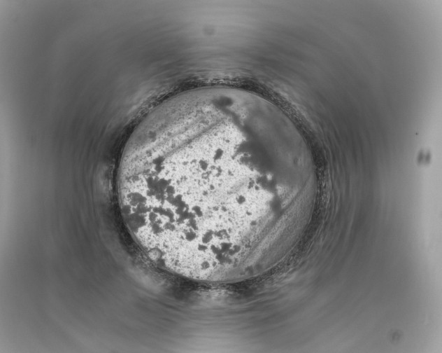 X0000091550695200709141516