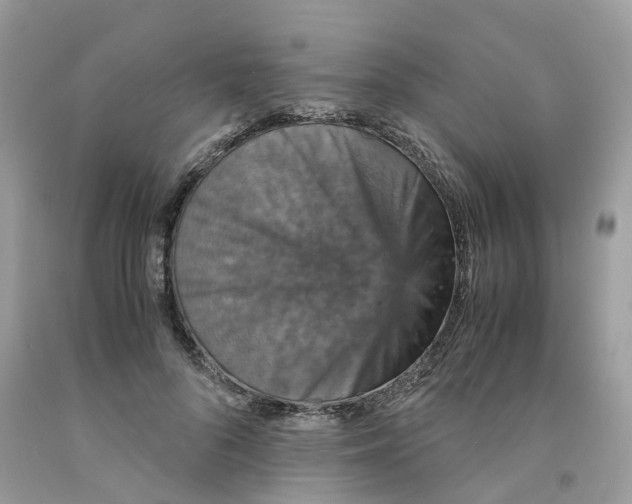 X0000091550696200709141516