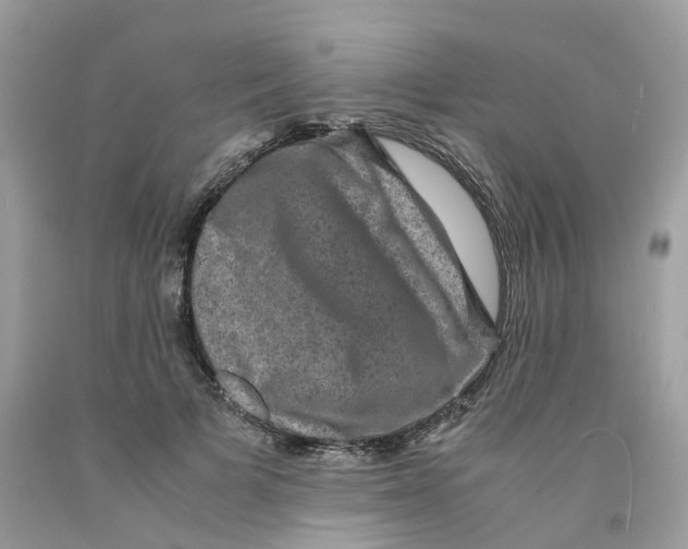 X0000091550697200709141516