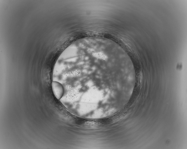 X0000091550699200709141516