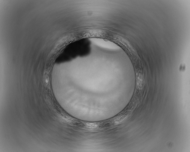 X0000091550701200709141516