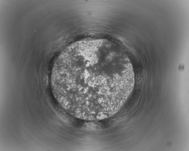 X0000091550703200709141516