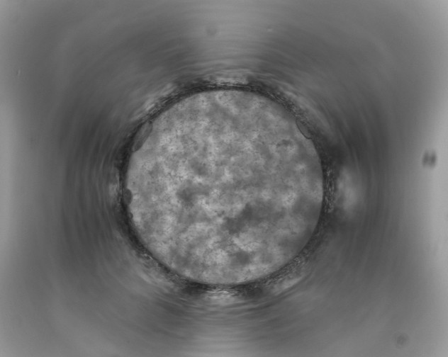 X0000091550704200709141516