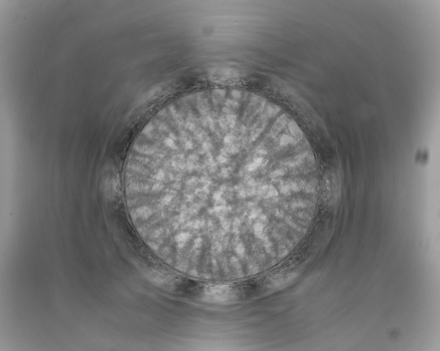 X0000091550705200709141516