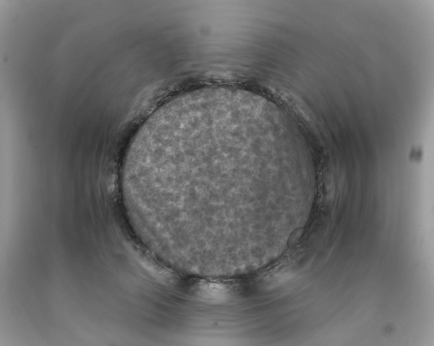 X0000091550706200709141516