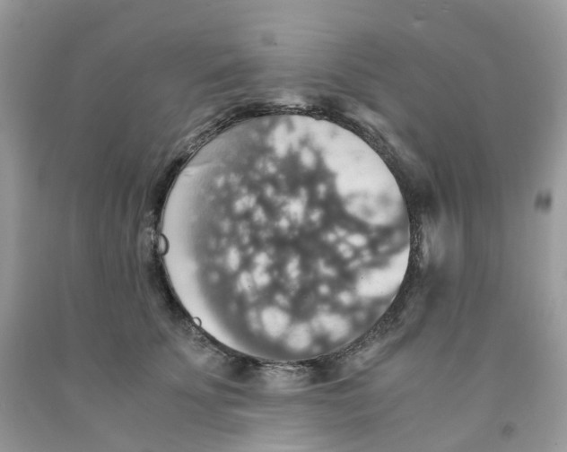 X0000091550707200709141516