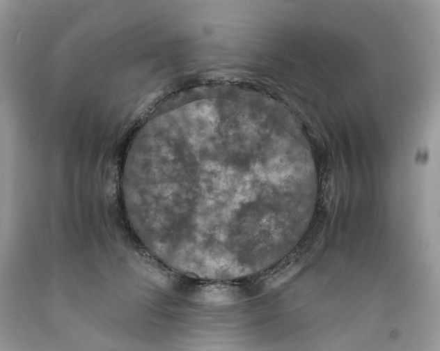 X0000091550708200709141516