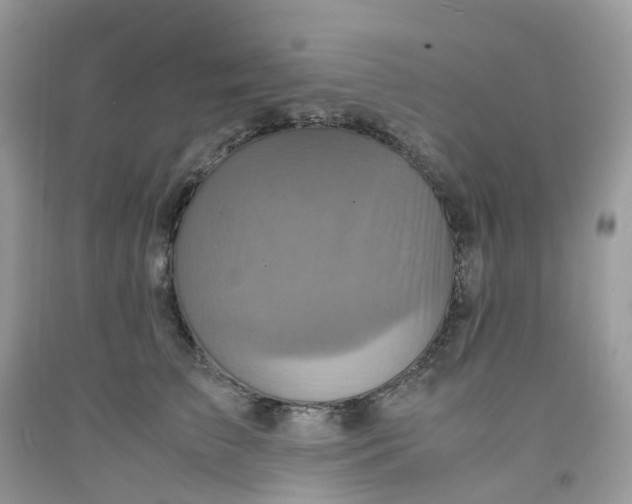 X0000091550709200709141516