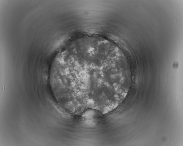 X0000091550710200709141516