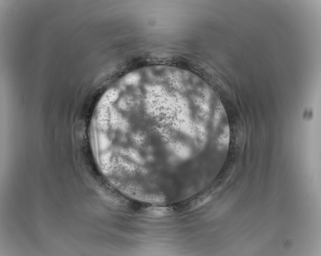 X0000091550711200709141516