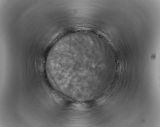 X0000091550712200709141516