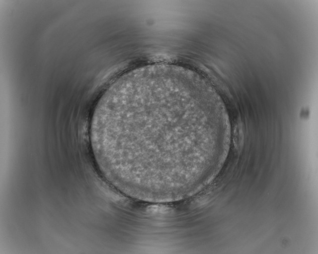 X0000091550714200709141516