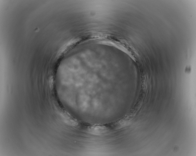 X0000091550716200709141516