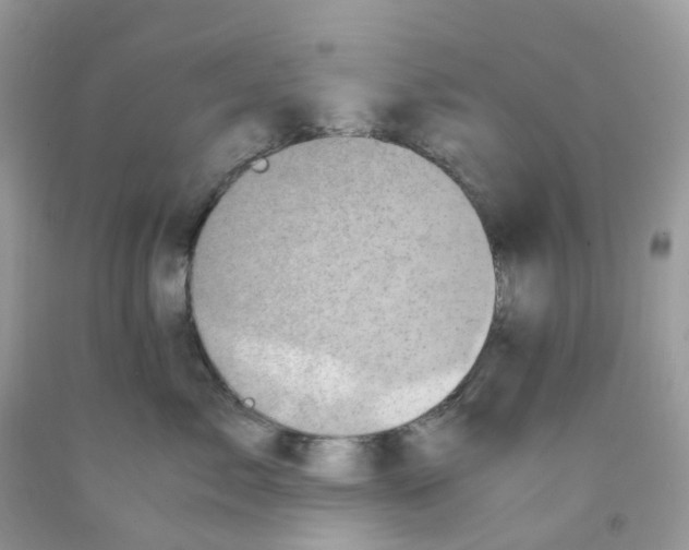 X0000091550717200709141515