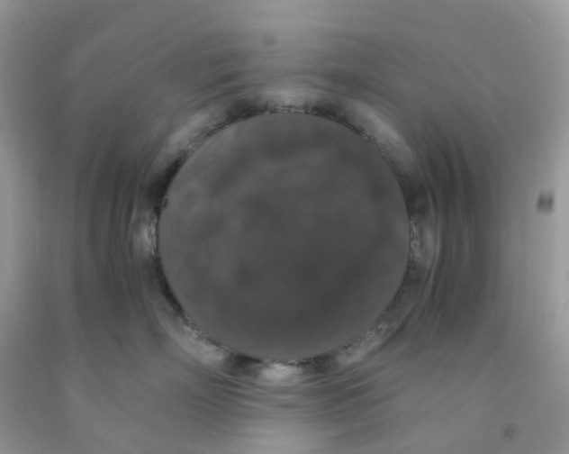 X0000091550718200709141515