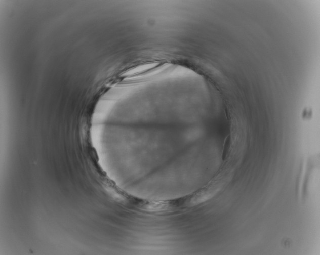 X0000091550720200709141515