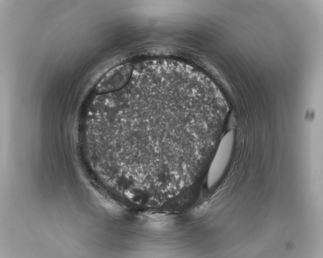 X0000091550722200709141515