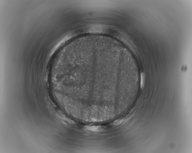 X0000091550723200709141515