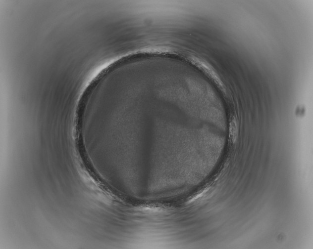 X0000091550724200709141515