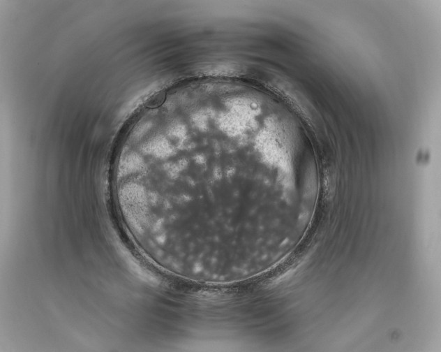 X0000091550725200709141515