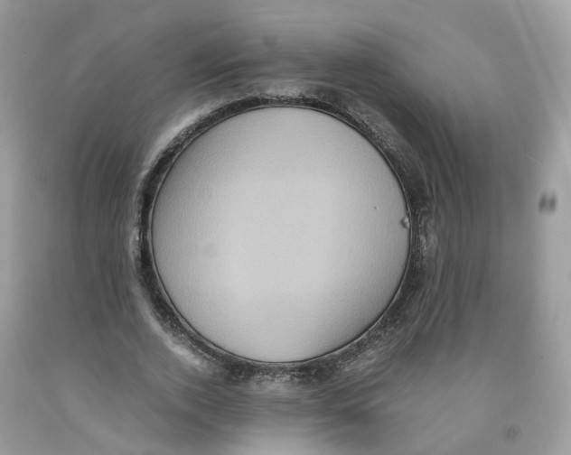 X0000091550728200709141515