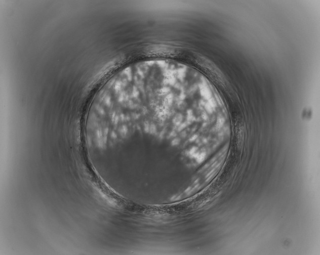 X0000091550729200709141515