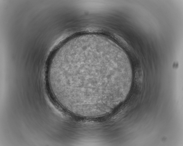 X0000091550730200709141515