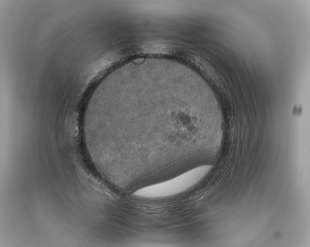 X0000091550731200709141515