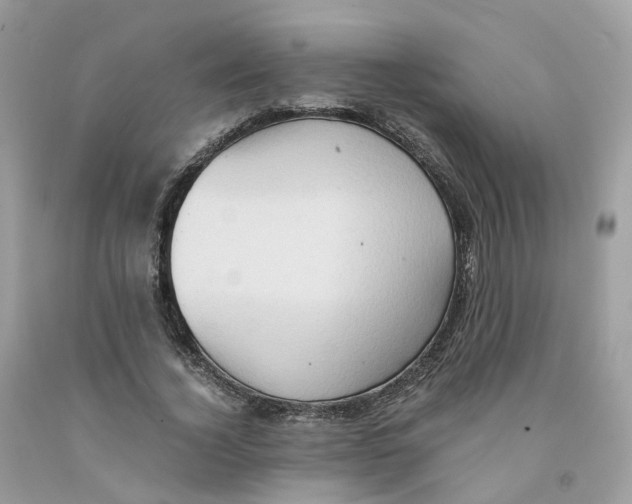 X0000091550732200709141515