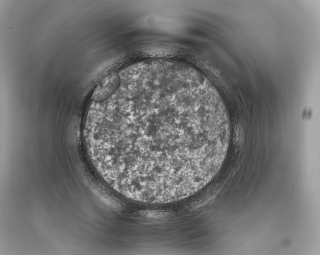 X0000091550733200709141515