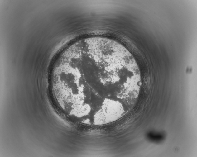 X0000091550734200709141515