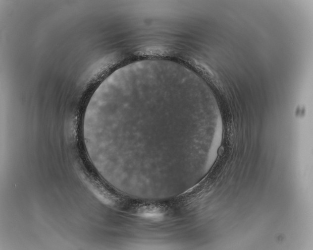 X0000091550735200709141515