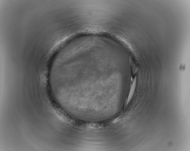 X0000091550736200709141515