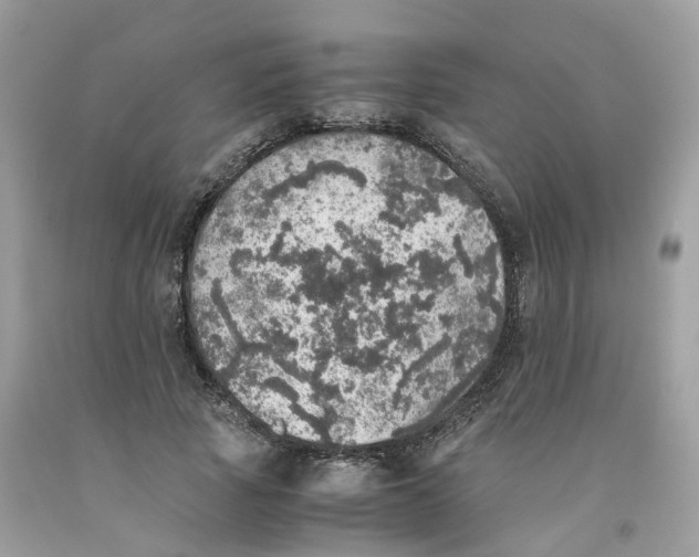 X0000091550737200709141515