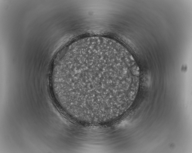 X0000091550738200709141515