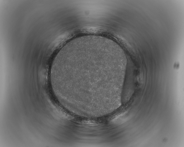 X0000091550739200709141515