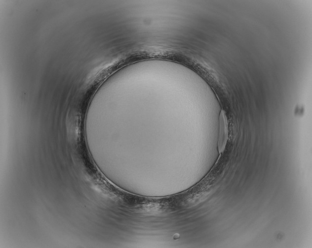 X0000091550740200709141515