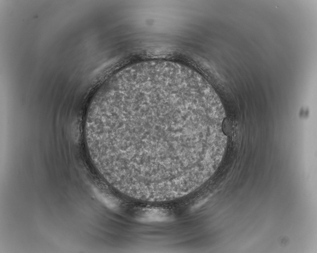 X0000091550741200709141515