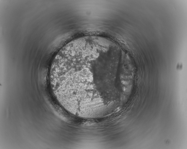 X0000091550742200709141515