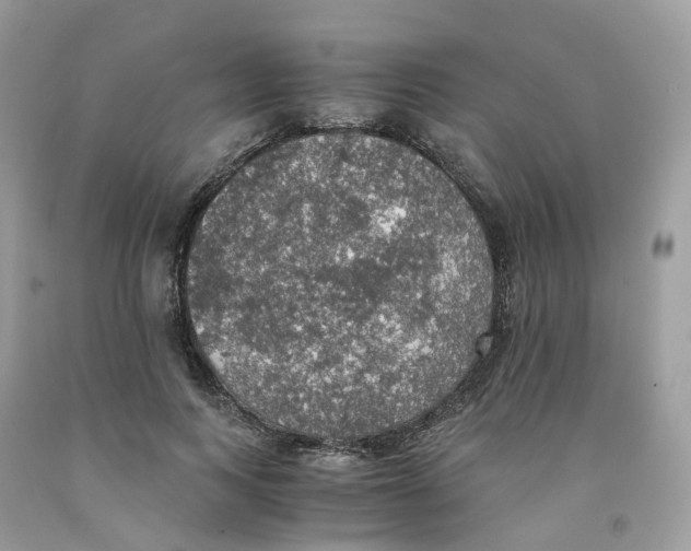 X0000091550743200709141515