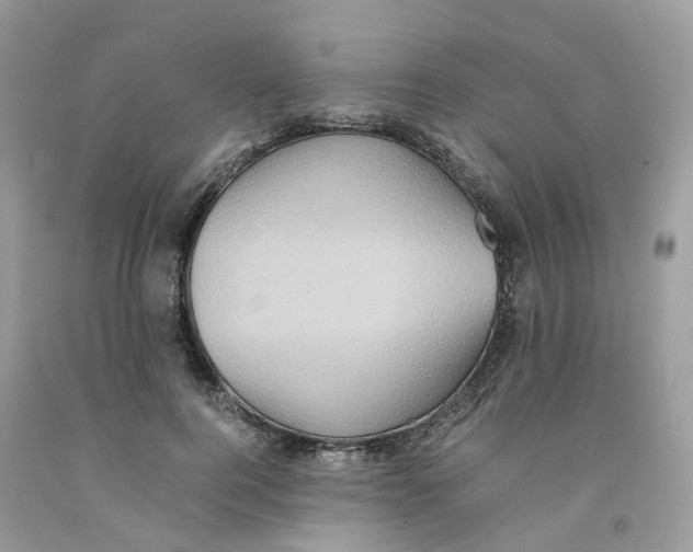 X0000091550744200709141515