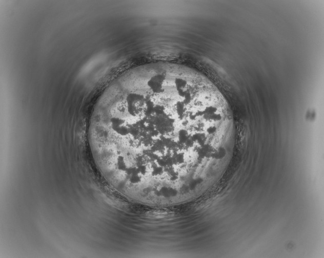 X0000091550745200709141515