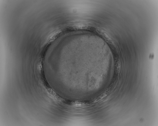 X0000091550746200709141515