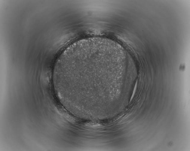 X0000091550747200709141515