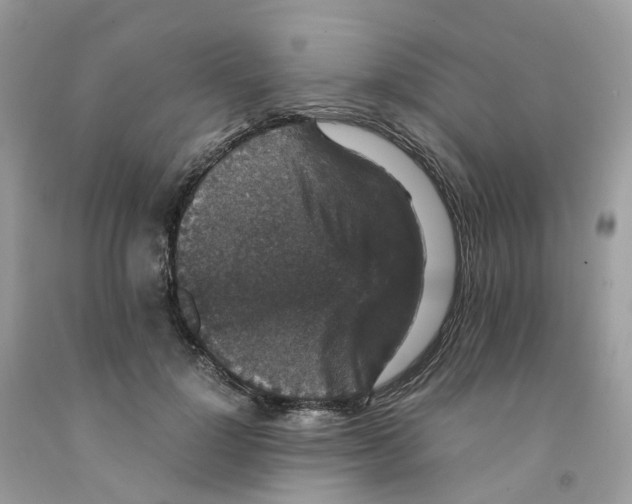 X0000091550748200709141515