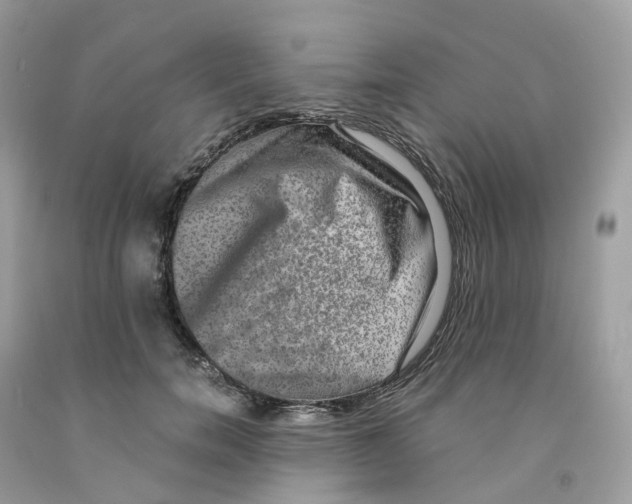 X0000091550750200709141515