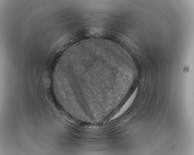 X0000091550751200709141515