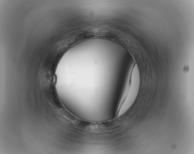 X0000091550752200709141515