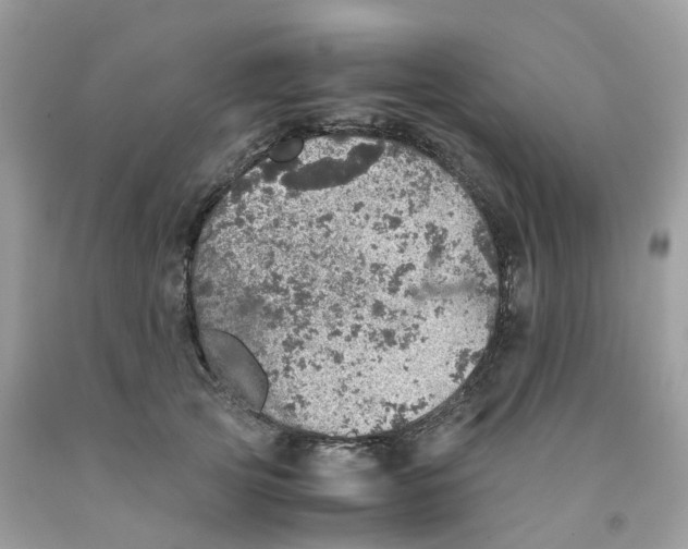 X0000091550753200709141515